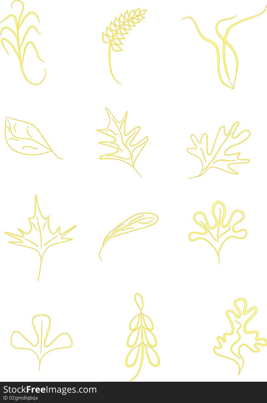 Vector illustration yellow leafs,spica and grass, autumn color