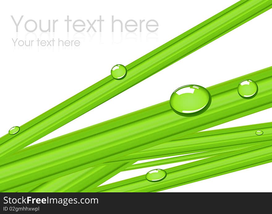 Grass Background