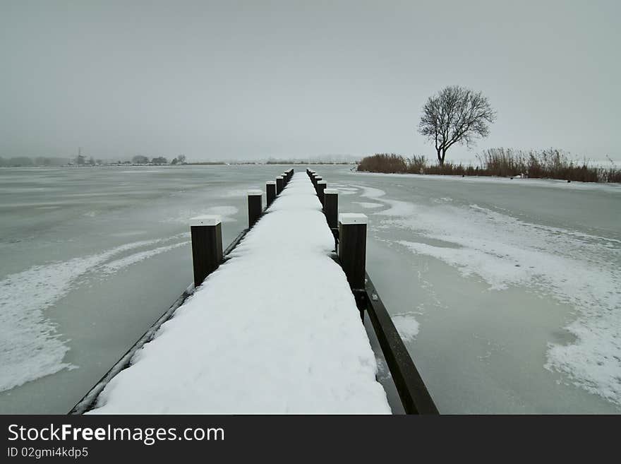 Grey winterday