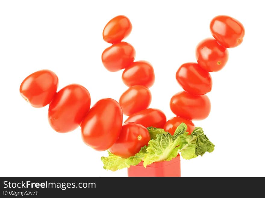 Creative tomatoes tree isolated on white background