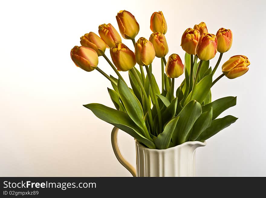 Jug of tulips