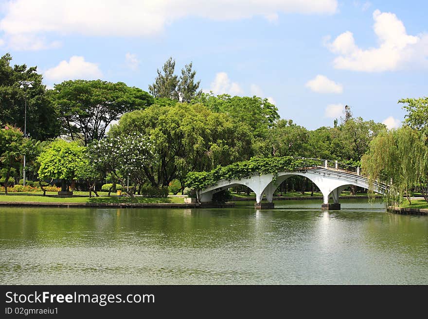 The bridge in public park,Thailand