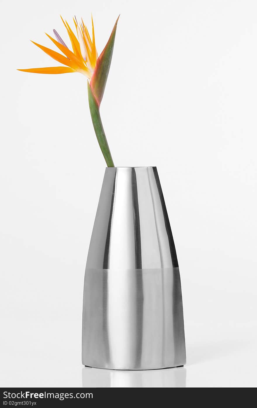 Bird of paradise in a silver vase. Bird of paradise in a silver vase.