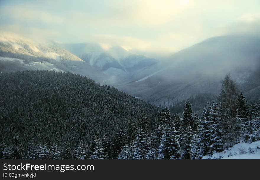 Snow misted mountains in winter. Snow misted mountains in winter