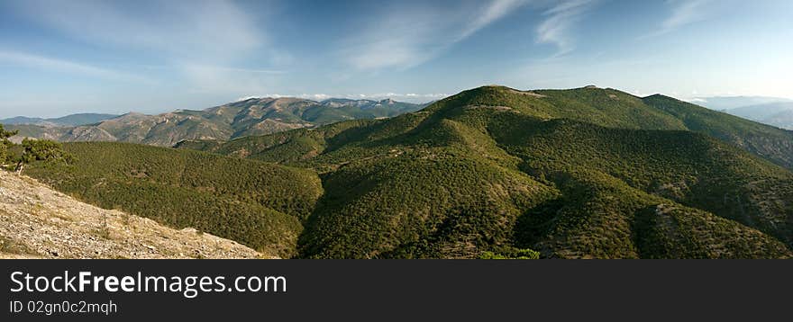 Mountains landscape with juniper brushwood, early morning