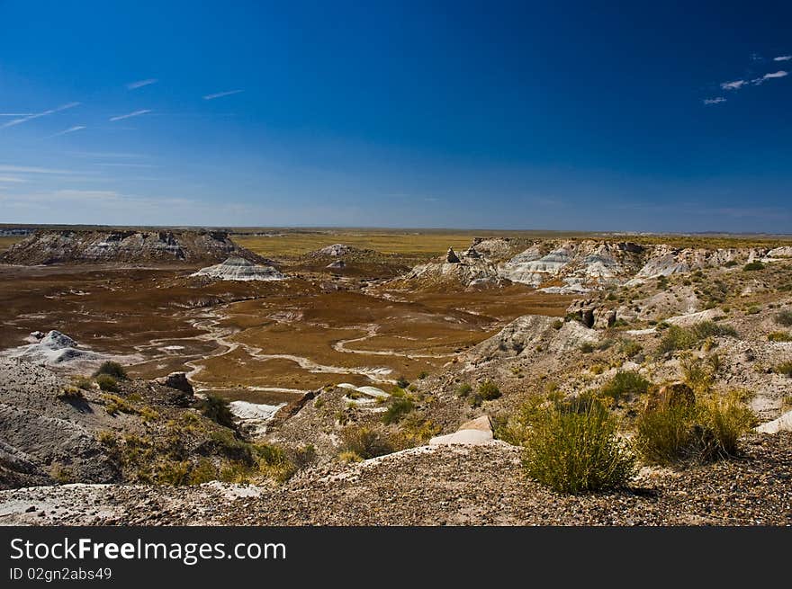 Landscape of Petrified Forest, Ariz, USA