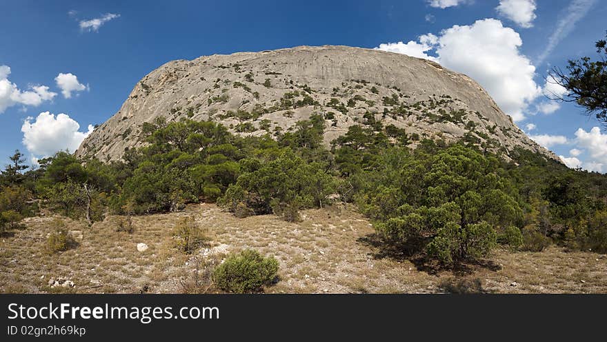 Crimea mountains with pine trees and juniper under blue sky. Crimea mountains with pine trees and juniper under blue sky