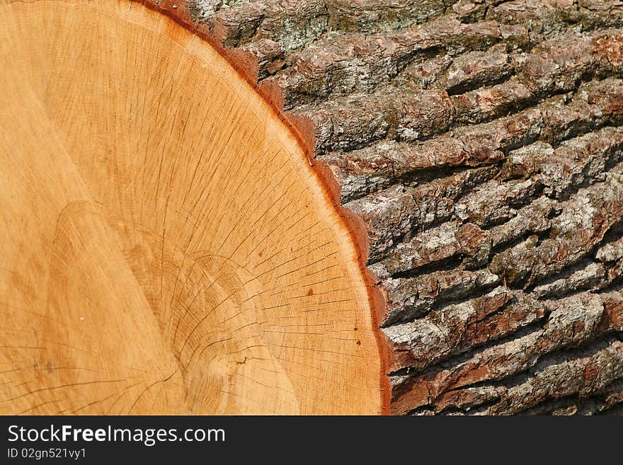 Old wooden cut close-up texture yellow color