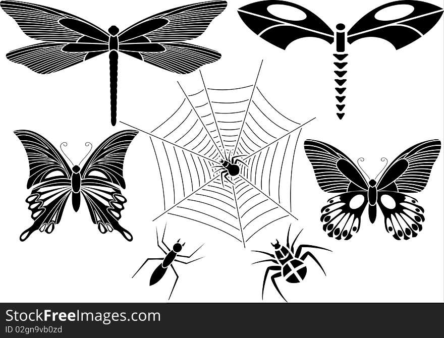 Set of insects.  illustration