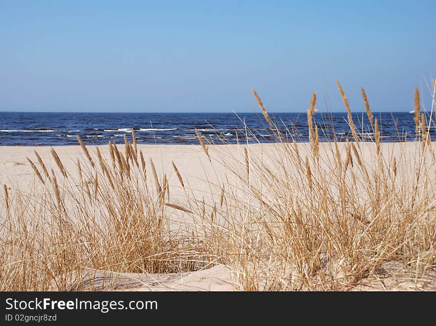 Sea, Sand and Dunes