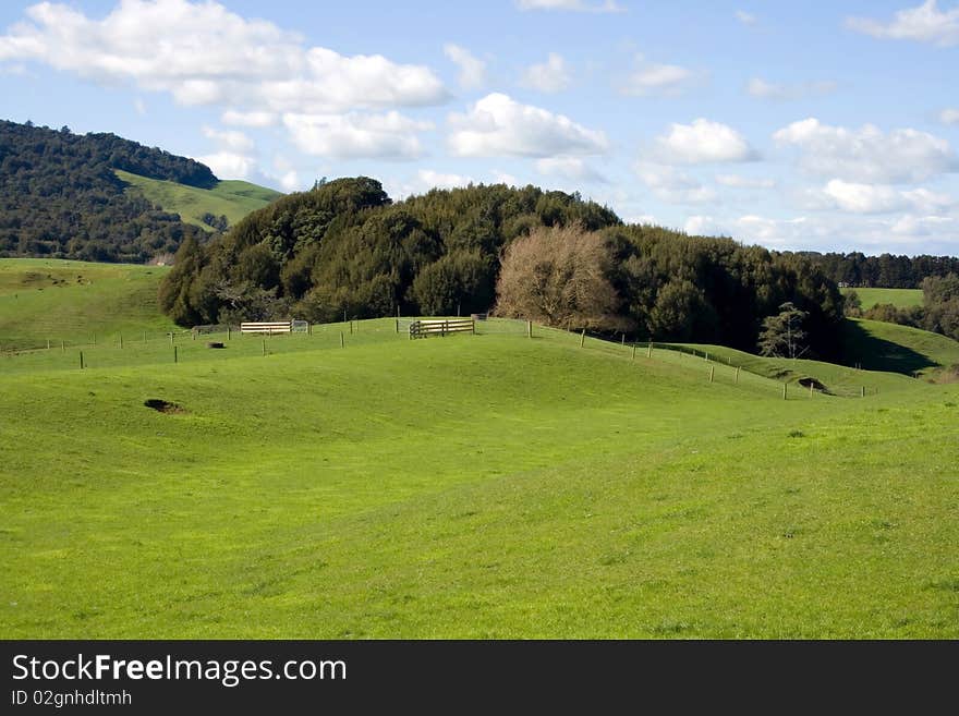 Green Rural Field  Landscape