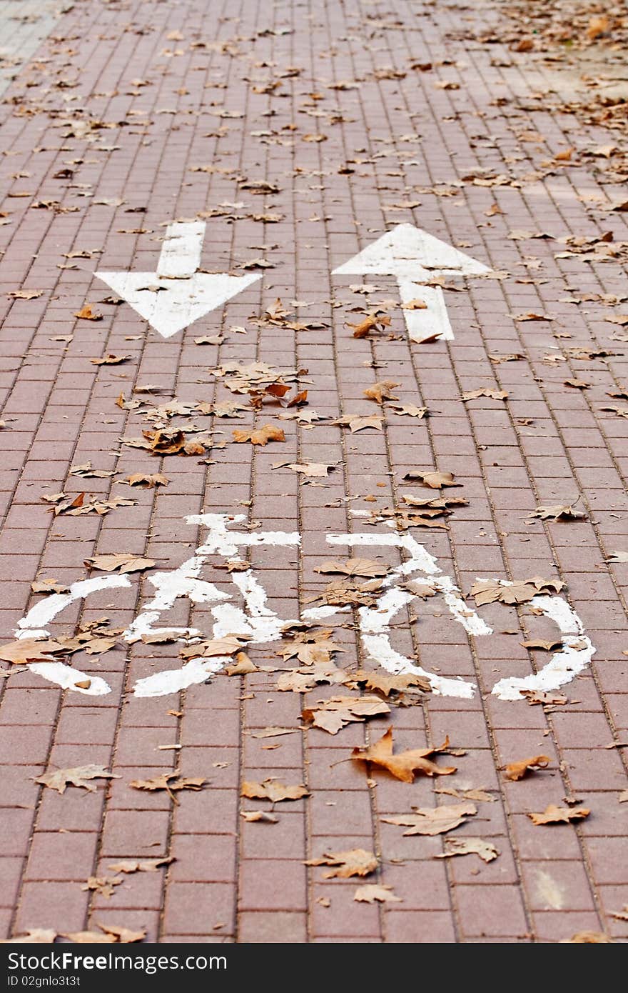 Bicycle path with the dead leaves fall in the path