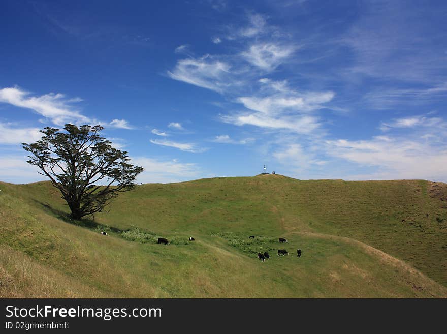 Mount Wellington in Auckland in Spring Time