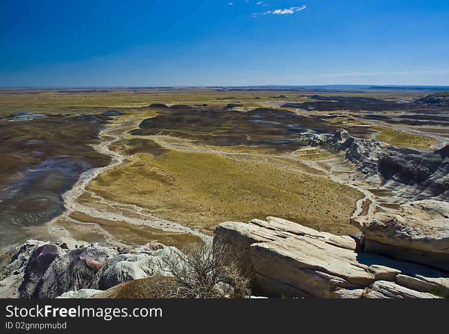 Landscape of Petrified Forest, Ariz, western USA