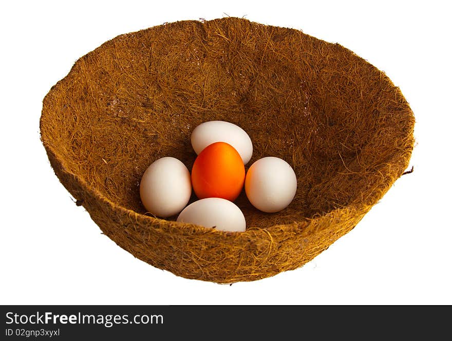 Eggs In A Nest