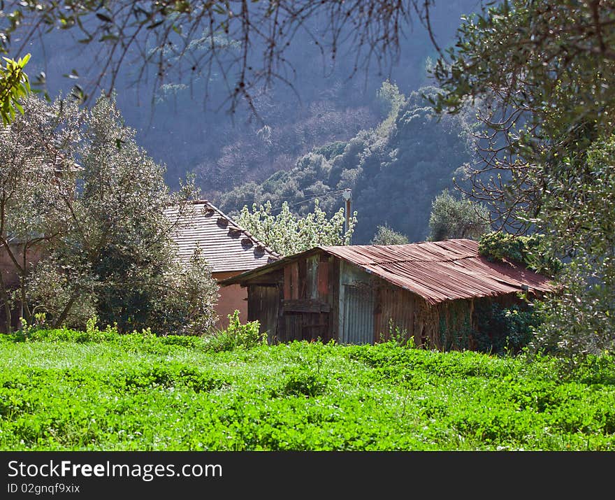 A cabin hidden in the green. A cabin hidden in the green