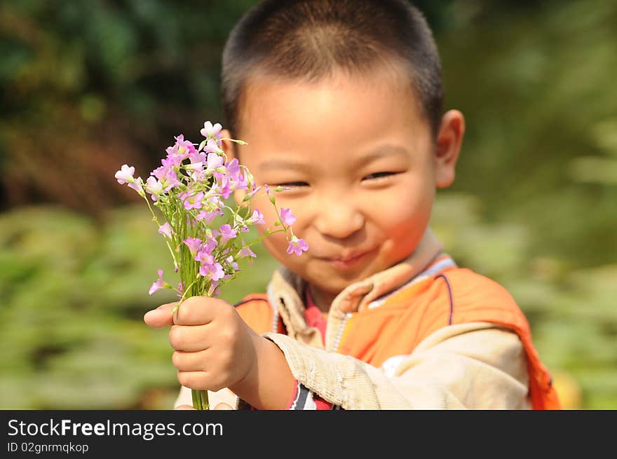 Boy Holding A Bunch Of Clover Flowers