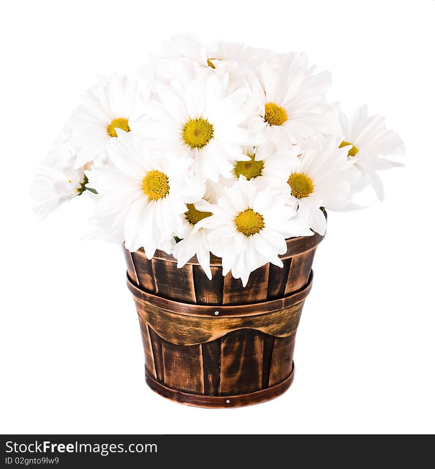 Flowers on a basket isolated on white. Flowers on a basket isolated on white