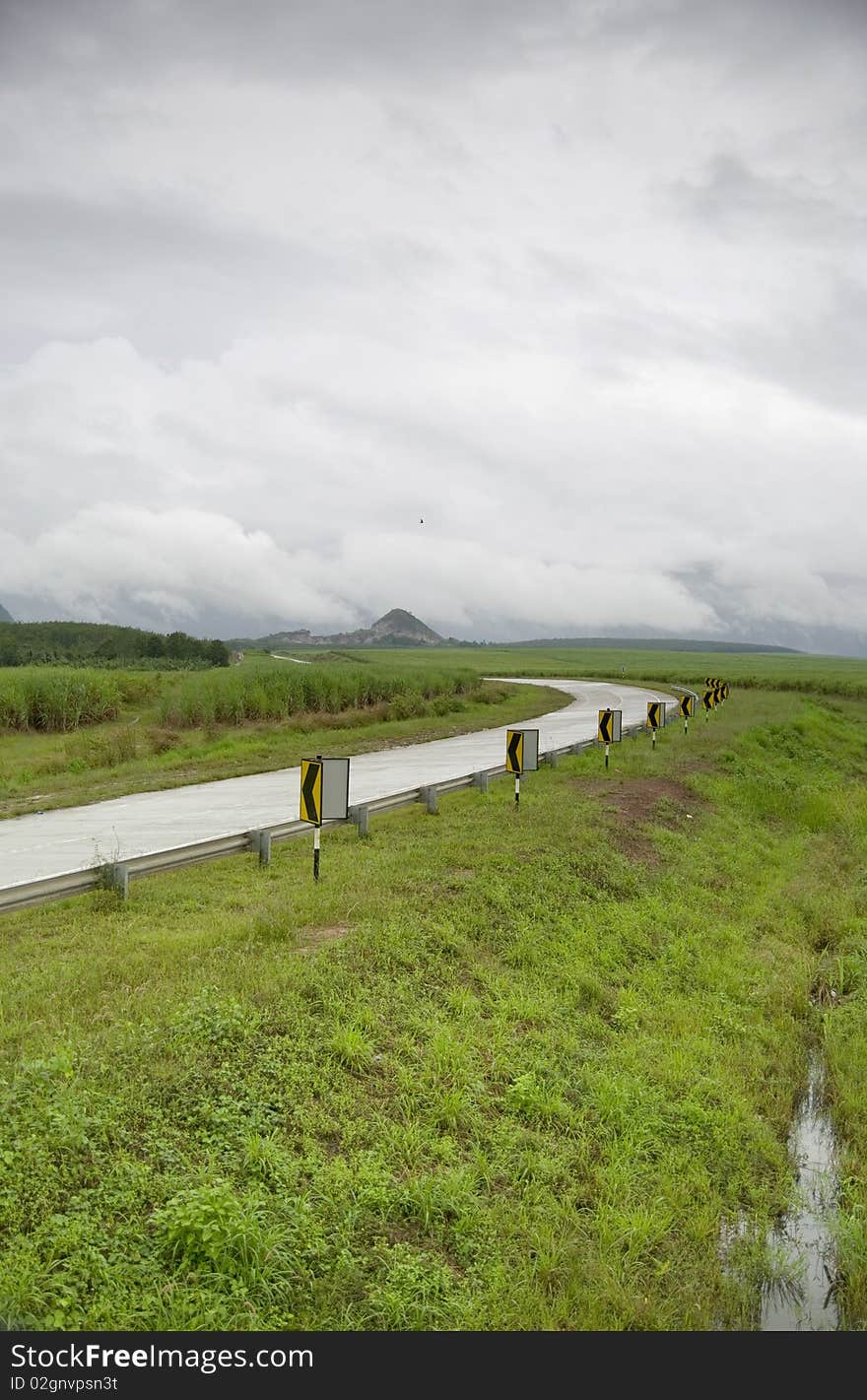 Road at Sugarcane Field