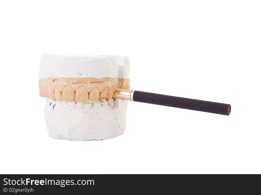 Teeth plaster cast. Close up on white background