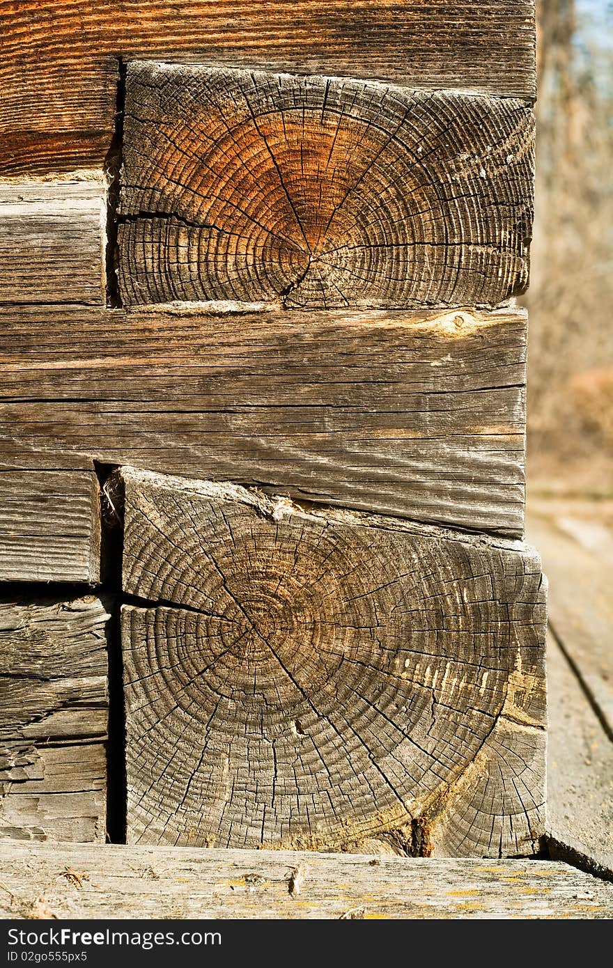 Wooden log close-up