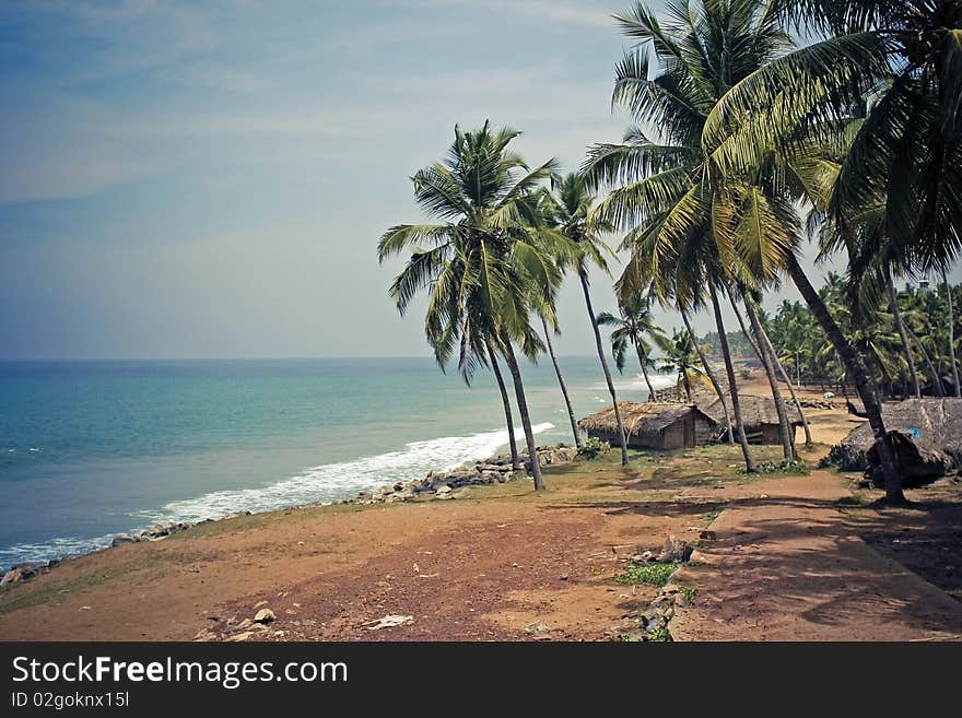 Narrow path on the beach under palms nearby indian ocean. Narrow path on the beach under palms nearby indian ocean.