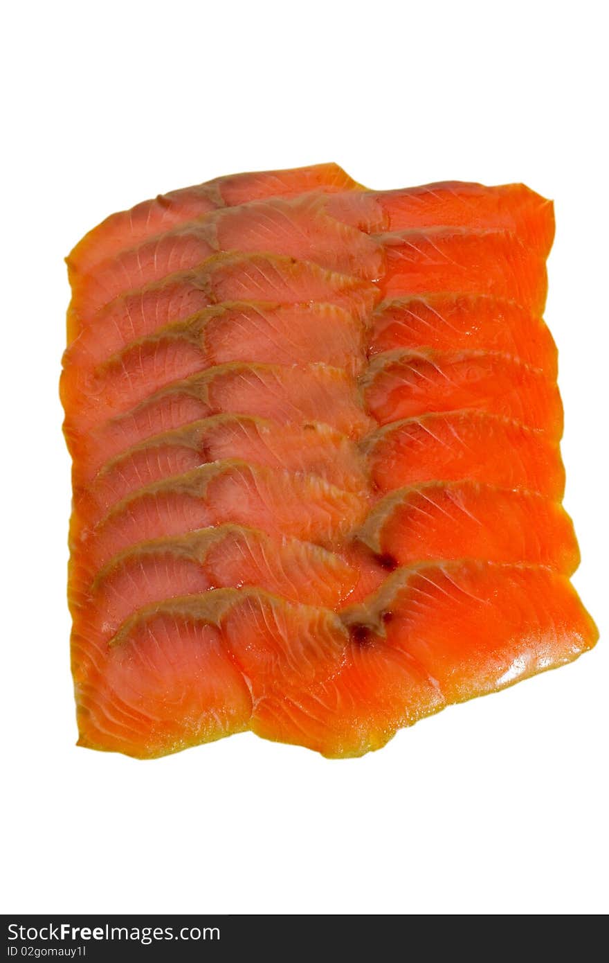 Salmon