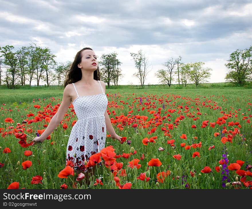 Young girl with long hair posing at poppy meadow. Young girl with long hair posing at poppy meadow