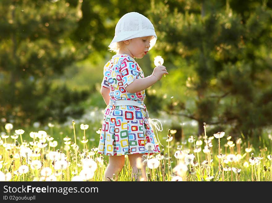 The little girl with dandelions. The little girl with dandelions