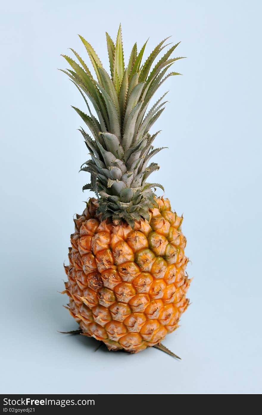 Pineapple