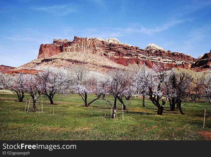 Capitol Reef National Park