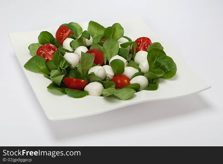 Mozzarella. plate garnish with small tomatoes and salad