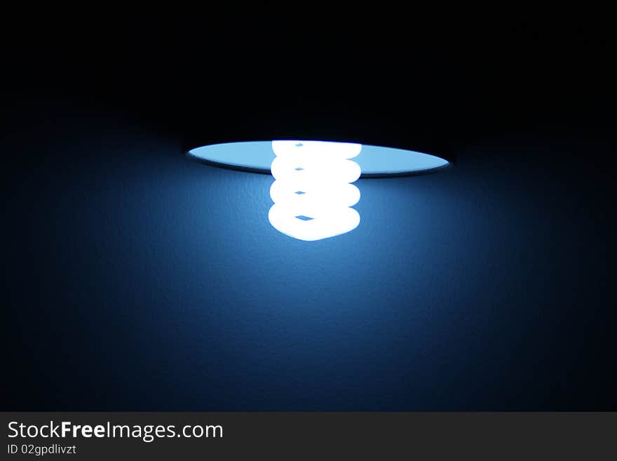 Compact Fluorescent Lightbulb