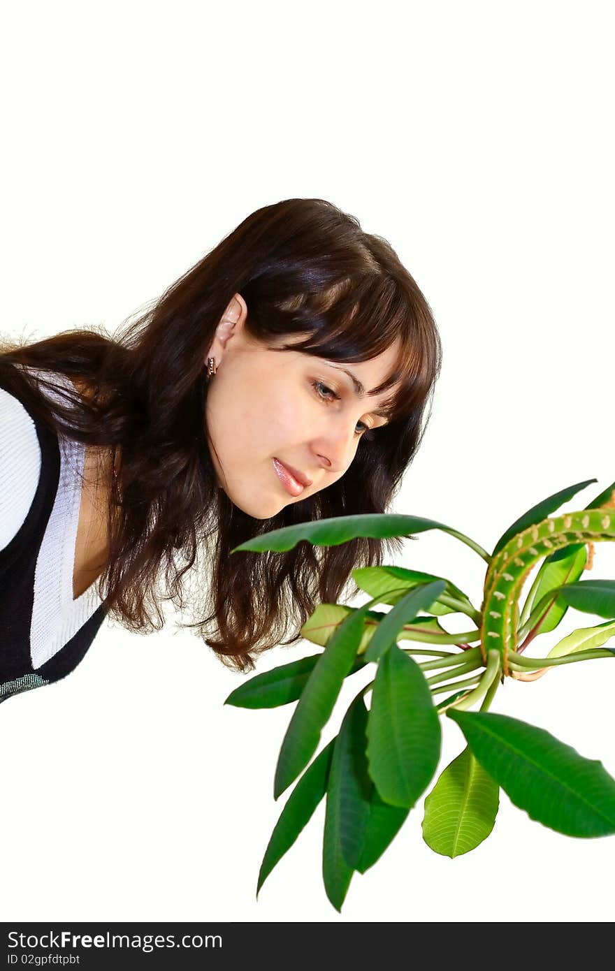 Girl bent over and considers the plant with big leaves. Girl bent over and considers the plant with big leaves