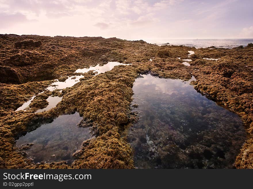 Seascape on Atlantic ocean