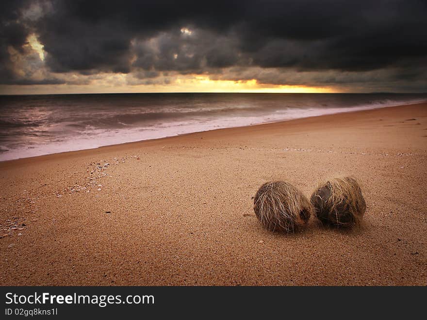 Sunrise at Teluk ketapang beach with two coconuts. Sunrise at Teluk ketapang beach with two coconuts