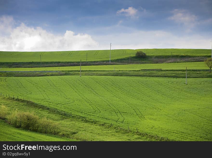 A blue sky with whit clods and green field. A blue sky with whit clods and green field