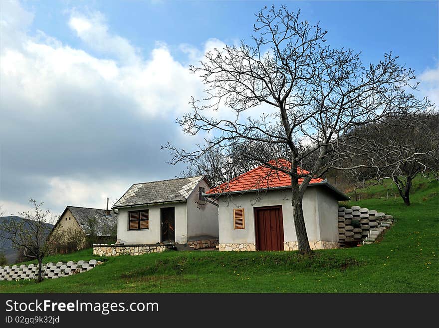 Weekend Houses in the Nature, grass is green