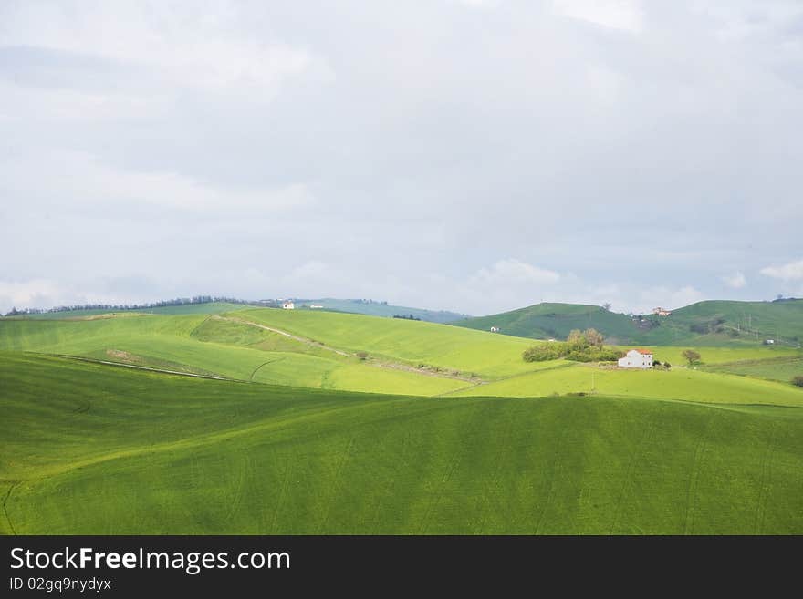 A blue sky with whit clods and green field. A blue sky with whit clods and green field