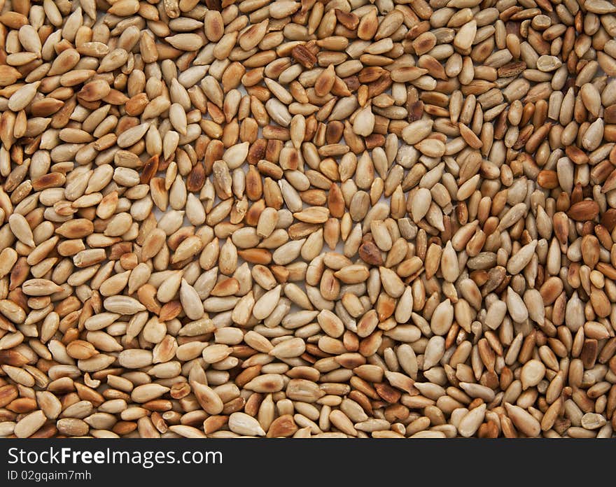 Fried sunflower seeds background texture