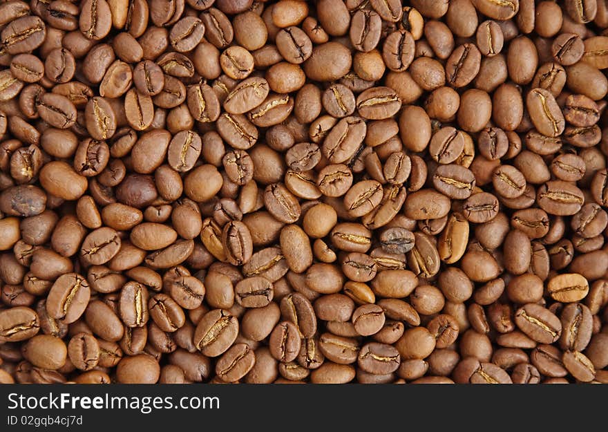 The background from coffee grains