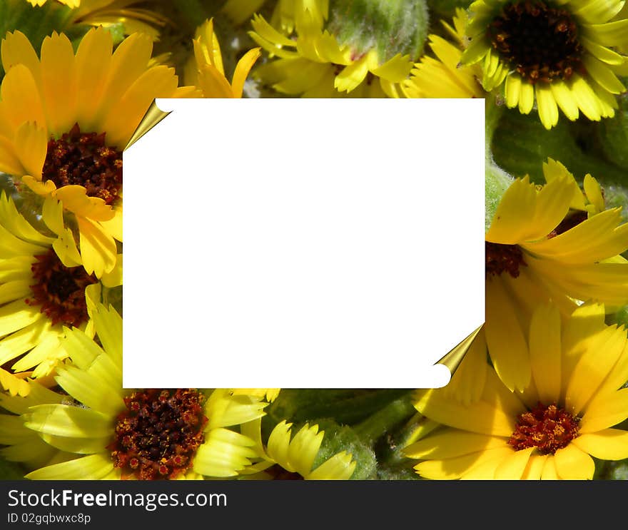 Frame With Sunflowers