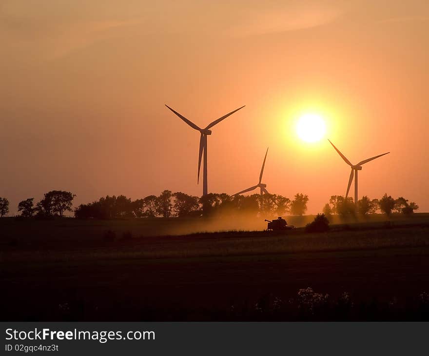 Agriculture. Harvest. Evening mowing of cereal through combine harvester on background of windmills