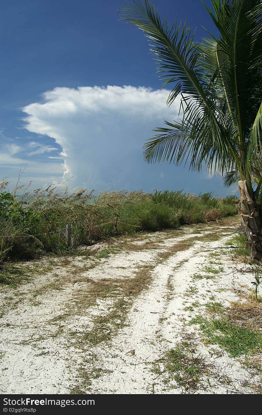 Mushroom-Shaped Cloud Over Sanibel Island