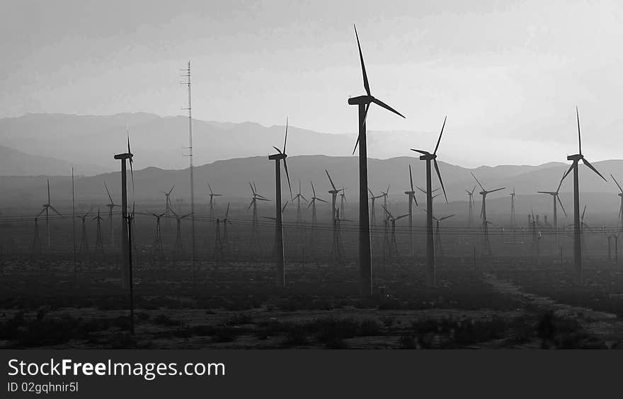 This was taken on January 26th at 4 pm in Joshua Tree, California. This was taken on January 26th at 4 pm in Joshua Tree, California.