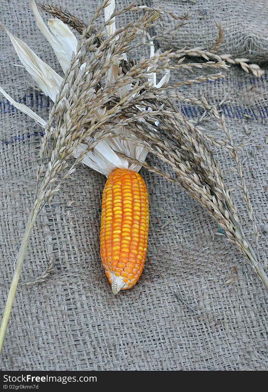 Corn around fry corn flowers on jute bag