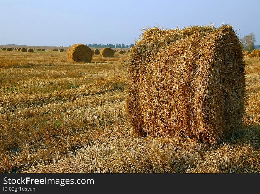 Haymaking at the End of Summer