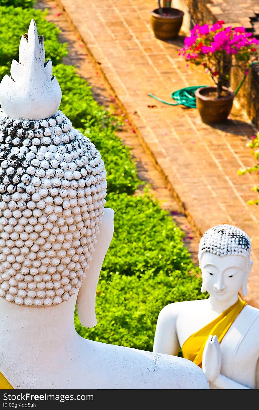 Statue of Buddhas in temple Wat Chai Mongkol