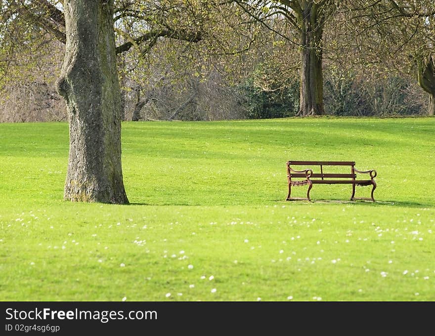 Relaxing scene of bench and tree in spring. Relaxing scene of bench and tree in spring