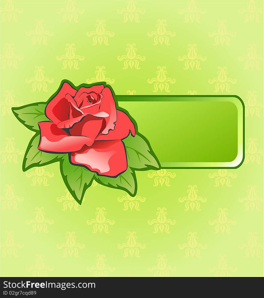 Green frame with red rose. Green frame with red rose